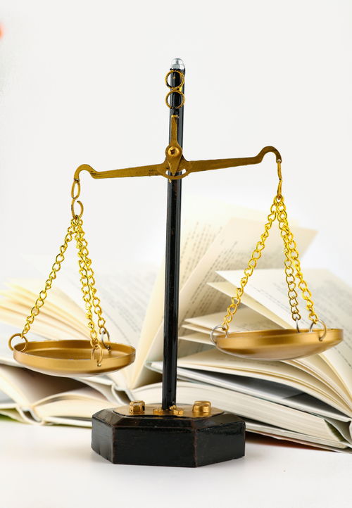 用镜头记录公正与安全——天秤司法法律日摄影图的意义